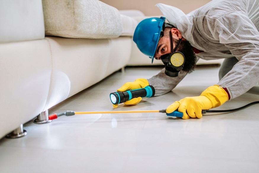 Pest Control Tips for Altamonte