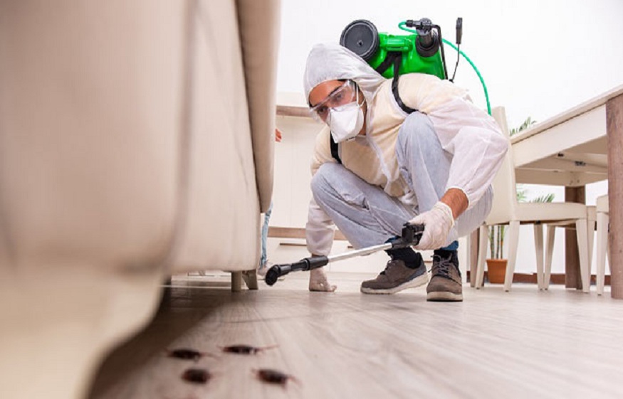 Pest Services